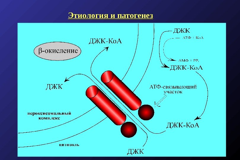 Кафедра эндокринологии ММА им. И. М. Сеченова Этиология и патогенез 