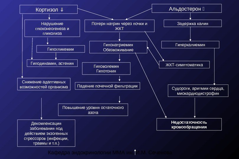 Кафедра эндокринологии ММА им. И. М. Сеченова. Кортизол  Альдостерон  Потеря натрия через