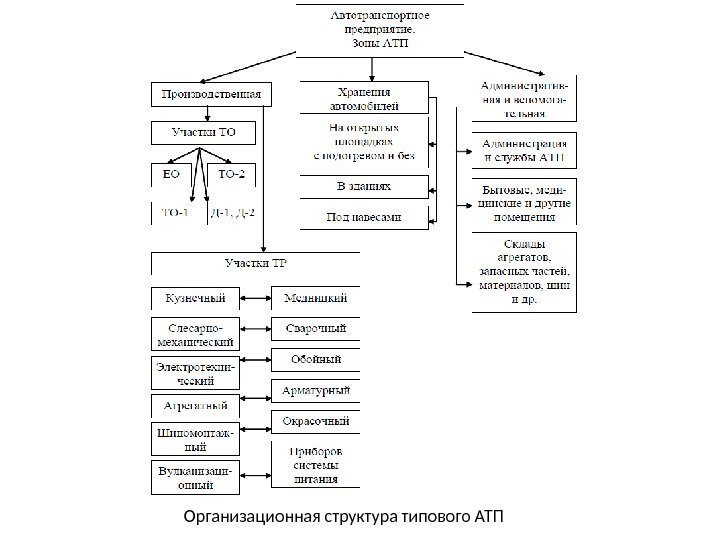 Организационная структура типового АТП 