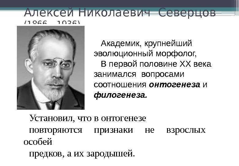Алексей Николаевич Северцов (1866 – 1936) Академик, крупнейший эволюционный морфолог, В первой половине XX