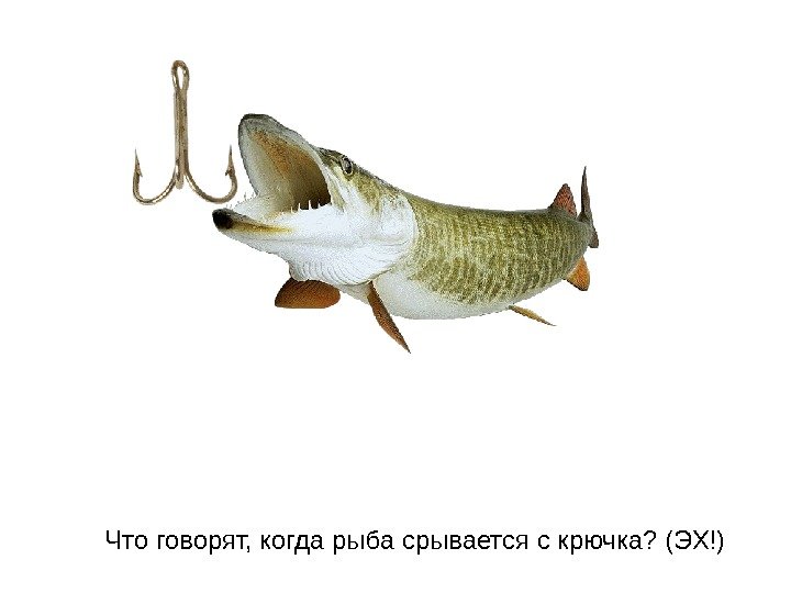  Что говорят, когда рыба срывается с крючка? (ЭХ!) 