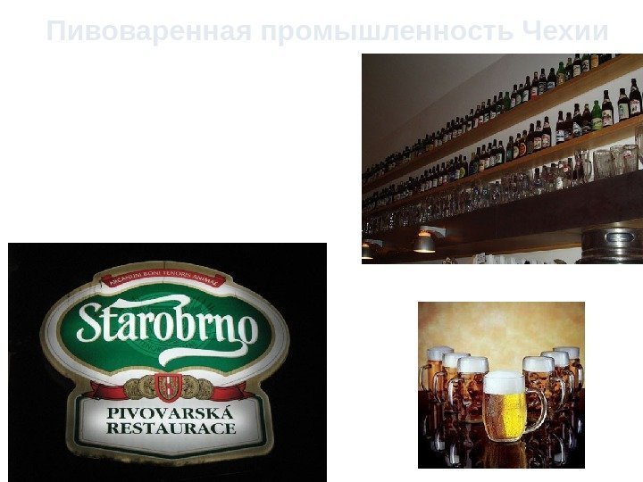 Пивоваренная промышленность Чехии В последнее время из всех отраслей пищевой промышленности Чехии пивоваренная промышленность