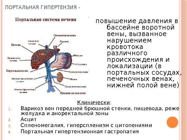 ПОРТАЛЬНАЯ ГИПЕРТЕНЗИЯ - повышение давления в бассейне воротной вены, вызванное нарушением кровотока различного происхождения