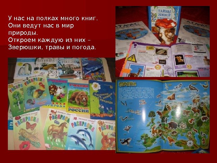   У нас на полках много книг. Они ведут нас в мир природы.