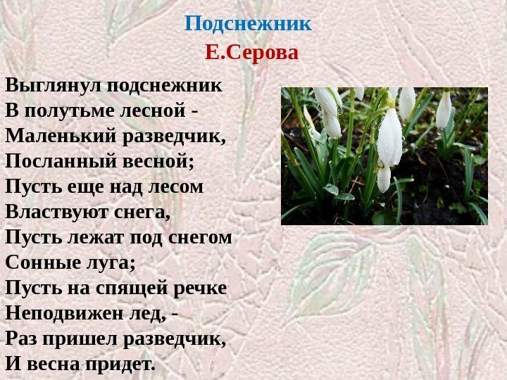 Подснежник  Е. Серова Выглянул подснежник В полутьме лесной - Маленький разведчик,  Посланный