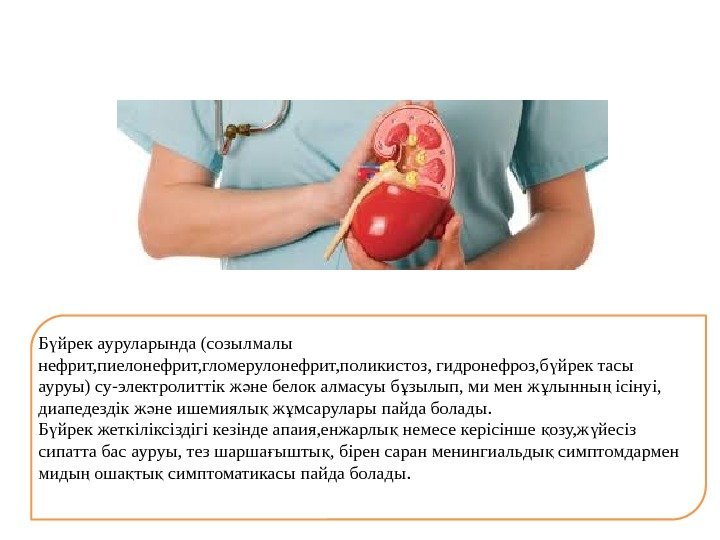 Б йрек ауруларында (созылмалы ү нефрит, пиелонефрит, гломерулонефрит, поликистоз, гидронефроз, б йрек тасы ү