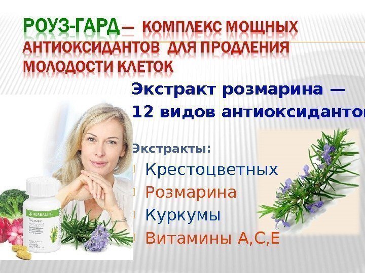 Экстракт розмарина — 12 видов антиоксидантов ! Э кстракты : Крестоцветных Розмарина Куркумы 