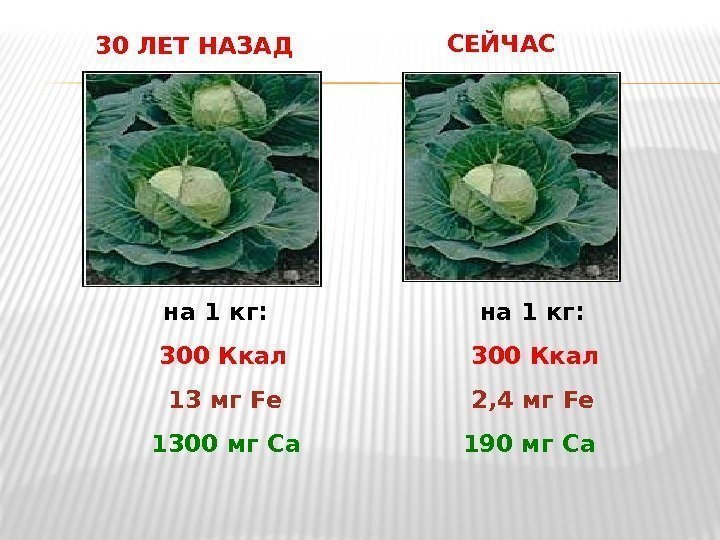 30 ЛЕТ НАЗАД СЕЙЧАС  на 1 кг:   300 Ккал  