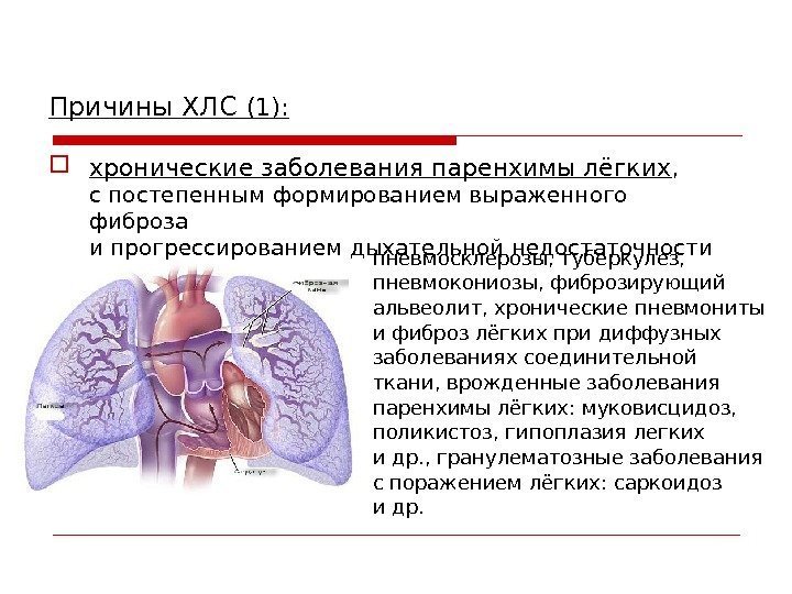 Причины ХЛС (1):  хронические заболевания паренхимы лёгких ,  с постепенным формированием выраженного