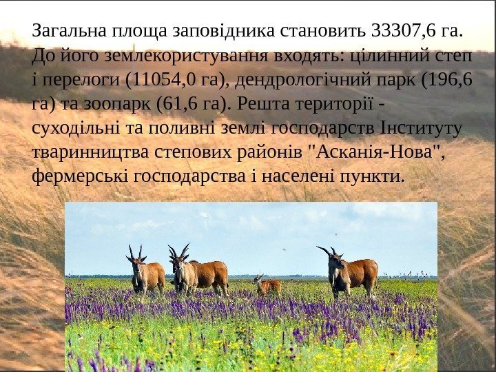 Загальна площа заповідника становить 33307, 6 га.  До його землекористування входять: цілинний степ