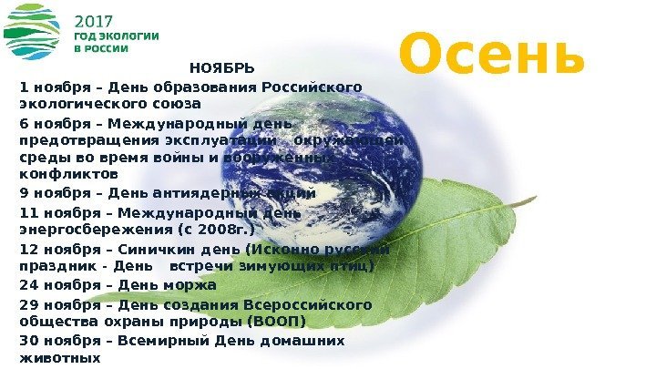 Осень. НОЯБРЬ 1 ноября – День образования Российского экологического союза 6 ноября – Международный