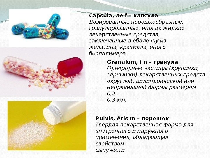 Capsŭla, ae f – капсула Дозированные порошкообразные, гранулированные, иногда жидкие лекарственные средства, заключенные в