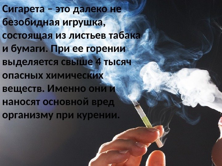 Сигарета – это далеко не безобидная игрушка,  состоящая из листьев табака и бумаги.