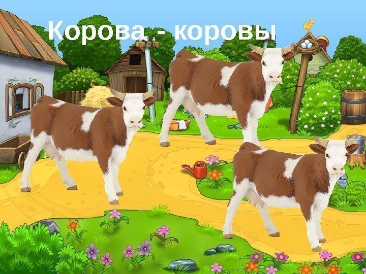 Корова - коровы 