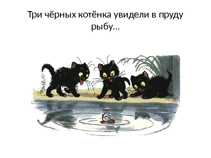 Три чёрных котёнка увидели в пруду рыбу… 