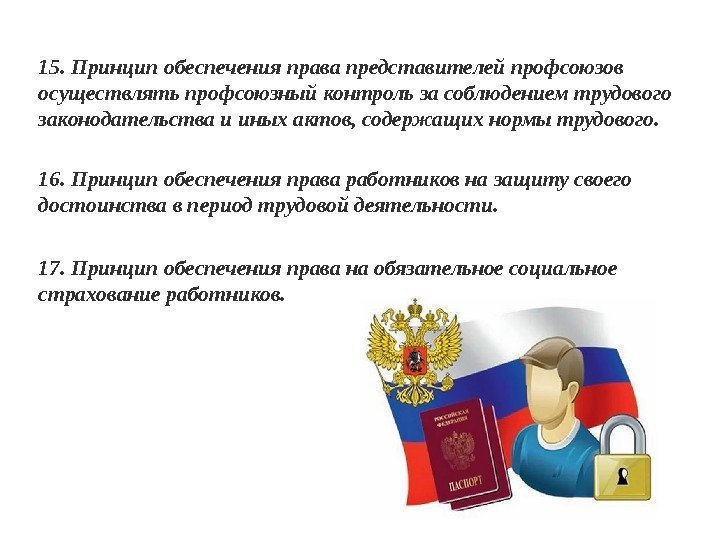 15. Принцип обеспечения права представителей профсоюзов осуществлять профсоюзный контроль за соблюдением трудового законодательства и