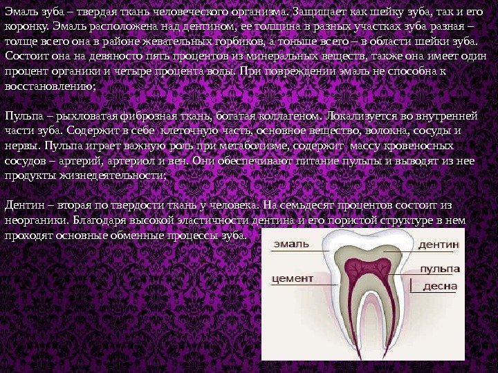 Эмаль зуба – твердая ткань человеческого организма. Защищает как шейку зуба, так и его