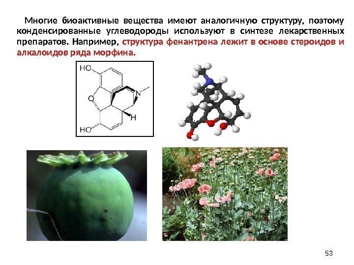 53   Многие биоактивные вещества имеют аналогичную структуру,  поэтому конденсированные углеводороды используют