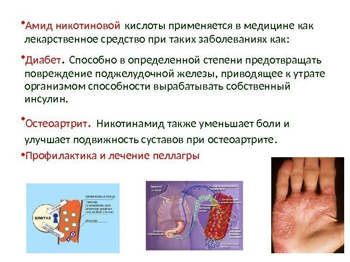  • Амид никотиновой  кислоты применяется в медицине как лекарственное средство при таких