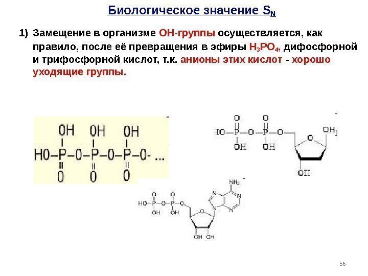 Биологическое значение SN 1)  Замещение в организме ОН-группы осуществляется, как правило, после её