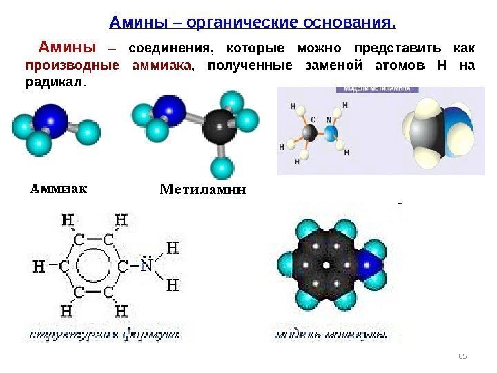 65 Амины – органические основания.  Амины  – соединения,  которые можно представить