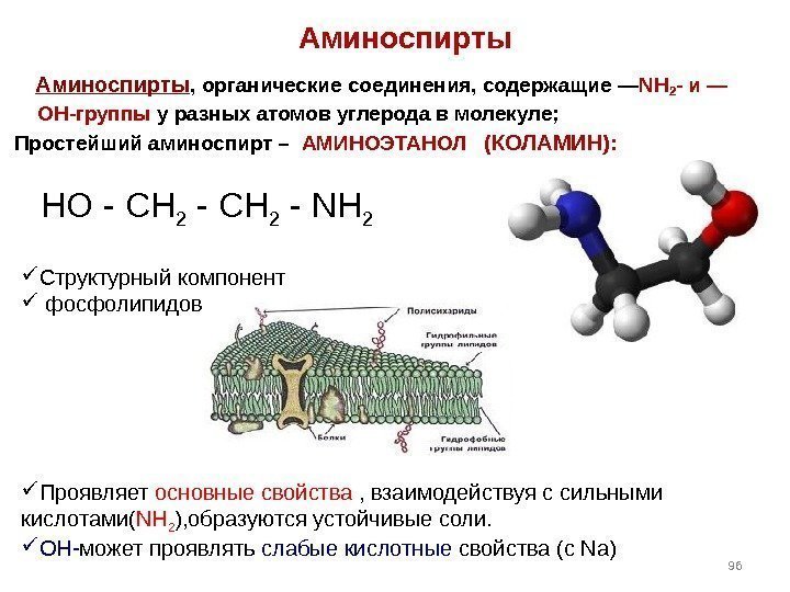  C труктурный компонент  фосфолипидов Проявляет основные свойства , взаимодействуя с сильными кислотами(
