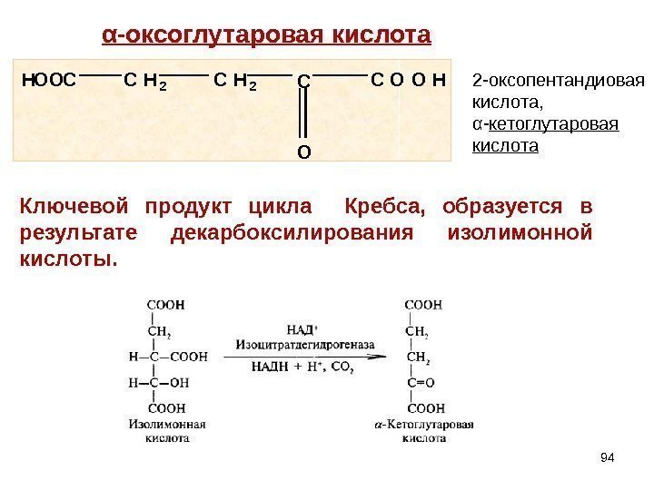94α -оксоглутаровая кислота H O O C C H  2 C O O