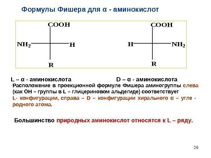 26 NH 2 R COOH HL – α - аминокислота    