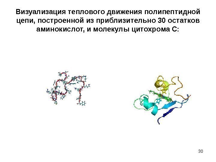Визуализация теплового движения полипептидной цепи, построенной из приблизительно 30 остатков аминокислот, и молекулы цитохрома