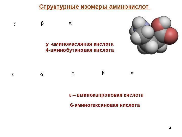 4  -аминомасляная кислота 4 -аминобутановая кислота 6 -аминогексановая кислота Структурные изомеры аминокислот 