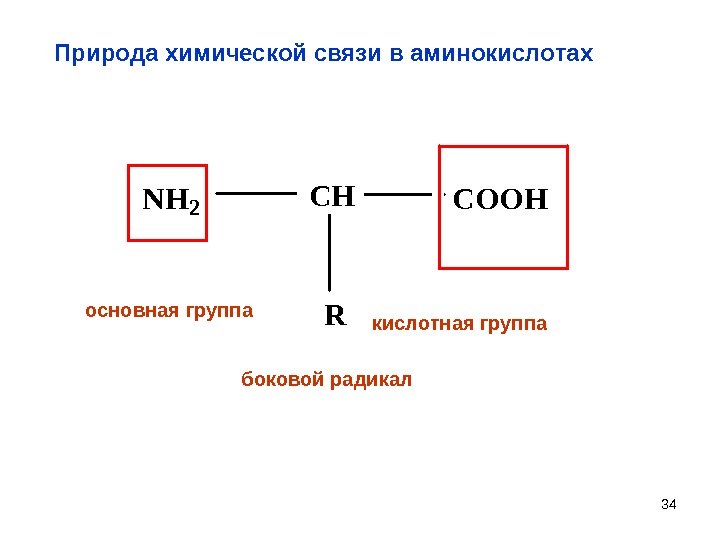34  Природа химической связи в аминокислотах. NH 2 CHCOOH R боковой радикалосновная группа