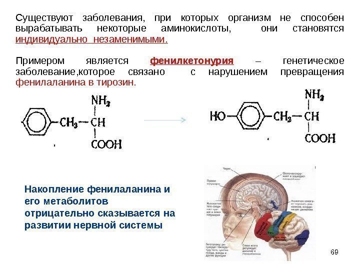 69 Существуют заболевания,  при которых организм не способен вырабатывать некоторые аминокислоты, они становятся