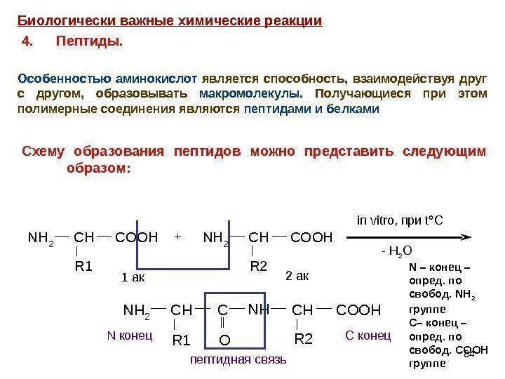 84    NH 2 CHCOOH R 1 NH 2 CHCOOH R 2