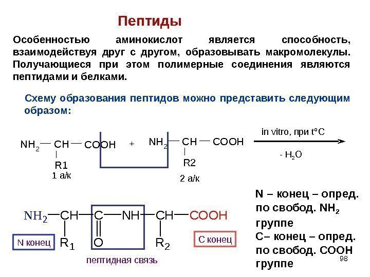 98 NH 2 CHCOOH R 1 NH 2 CHCOOH R 2+ in vitro, 