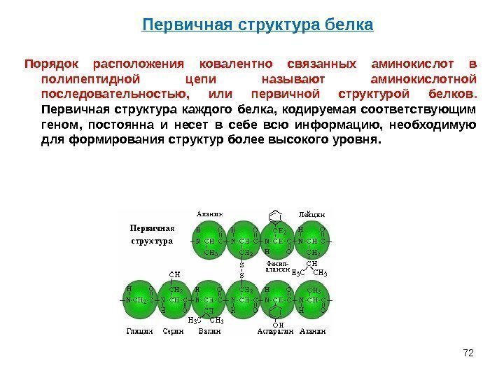 72 Порядок расположения ковалентно связанных аминокислот в полипептидной цепи называют аминокислотной последовательностью,  или