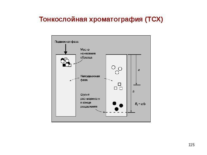Тонкослойная хроматография (ТСХ) 115 