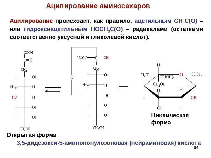 Ацилирование аминосахаров Ацилирование происходит,  как правило,  ацетильным CH 3 C(O)  –