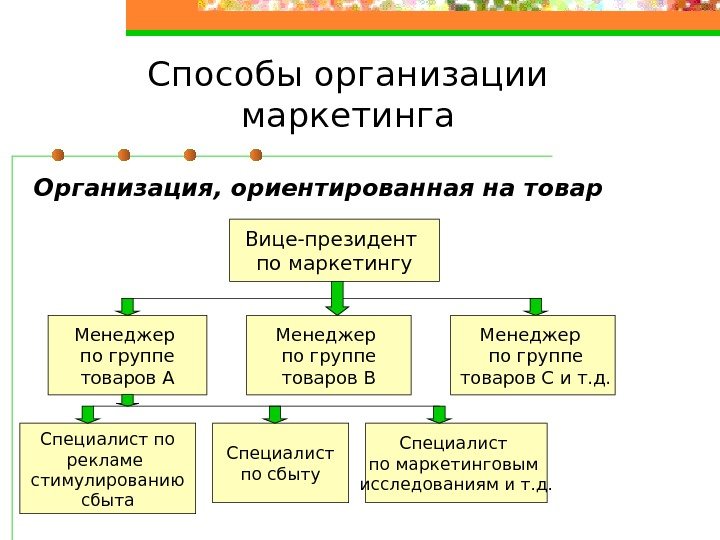 Способы организации маркетинга Вице-президент по маркетингу Менеджер по группе  товаров А Организация, ориентированная