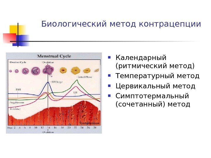 Биологический метод контрацепции Календарный (ритмический метод) Температурный метод Цервикальный метод Симптотермальный (сочетанный) метод 