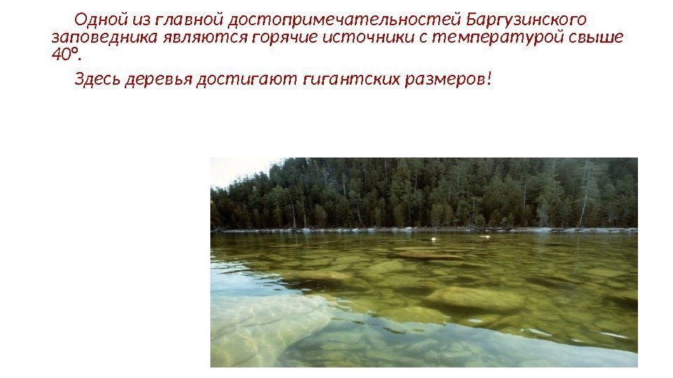    Одной из главной достопримечательностей Баргузинского заповедника являются горячие источники с температурой