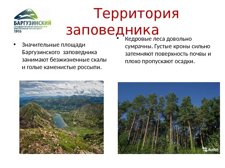   Территория заповедника • Значительные площади  Баргузинского заповедника занимают безжизненные скалы и