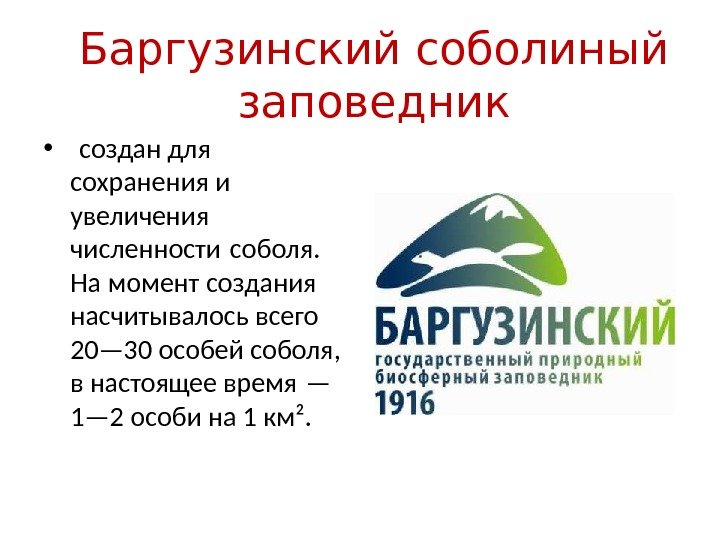 Баргузинский соболиный заповедник •  создан для сохранения и увеличения численности соболя.  На