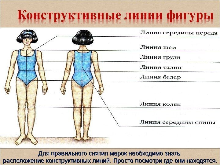 Для правильного снятия мерок необходимо знать расположение конструктивных линий. Просто посмотри где они находятся.