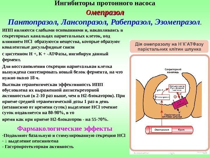 Ингибиторы протонного насоса ОО мепразол Пантопразол, Лансопразол, Рабепразол, Эзомепразол. ИПП являются слабыми основаниями и,