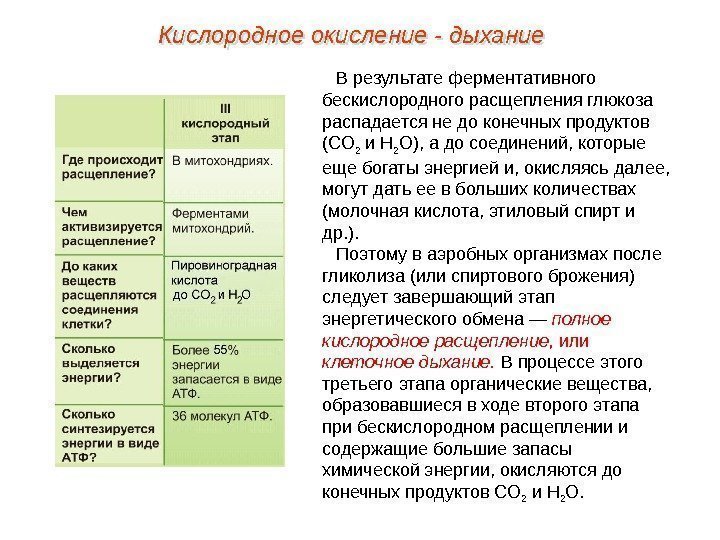 В результате ферментативного бескислородного расщепления глюкоза распадается не до конечных продуктов (СО 2 и