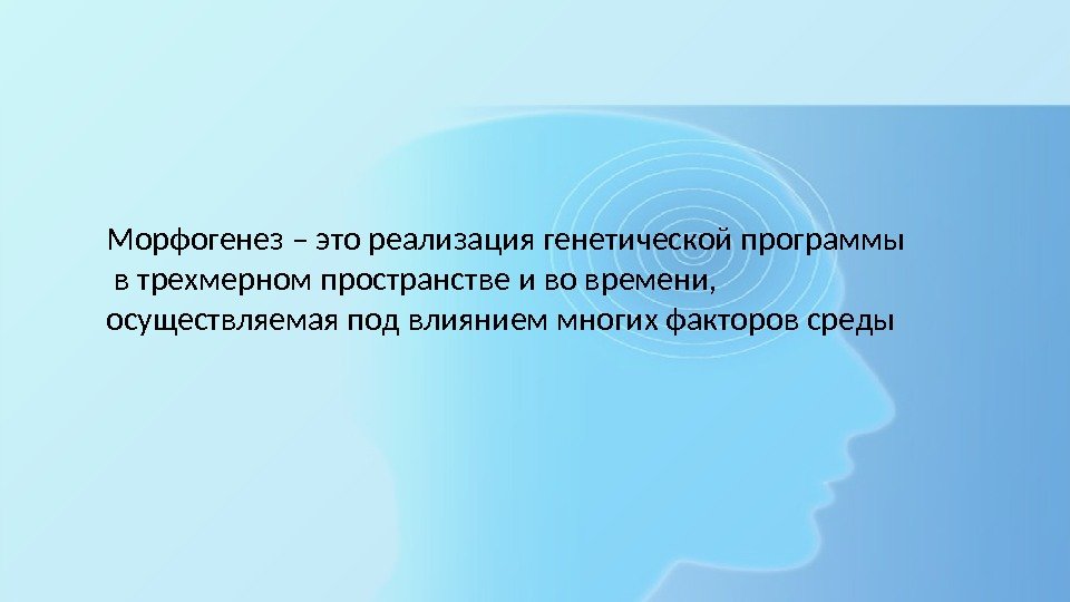 Морфогенез – это реализация генетической программы  в трехмерном пространстве и во времени, осуществляемая