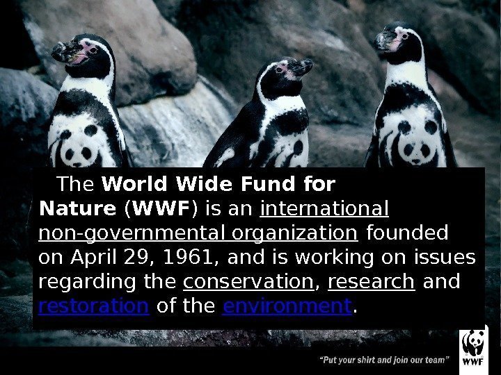 The World Wide Fund for Nature ( WWF ) is an international non-governmental organization