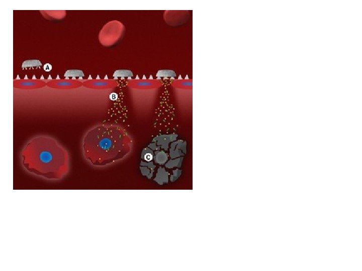 Многоуровневая система доставки препарата На рисунке финальная стадия, прибытие  «нанотранспорта» А -приземление В