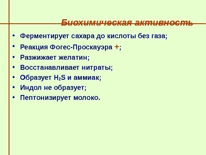   Биохимическая активность • Ферментирует сахара до кислоты без газа;  • Реакция