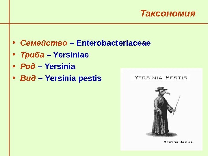   Таксономия • Семейство – Enterobacteriaceae • Триба – Yersiniae • Род –